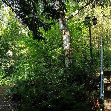 Mit Grossem Garten
